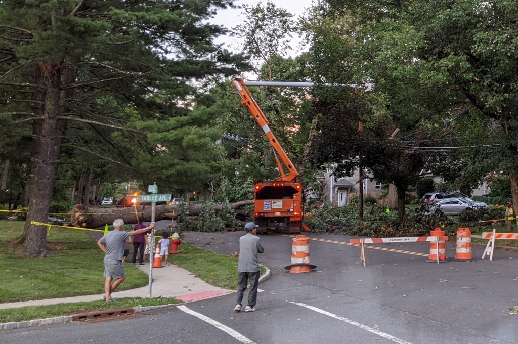 Photo taken by my husband: The tree that took down our power and internet cables